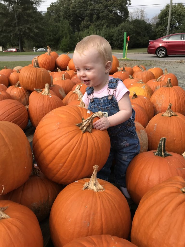 10 Fabulous Fall activities for the Family | Learning with Littles