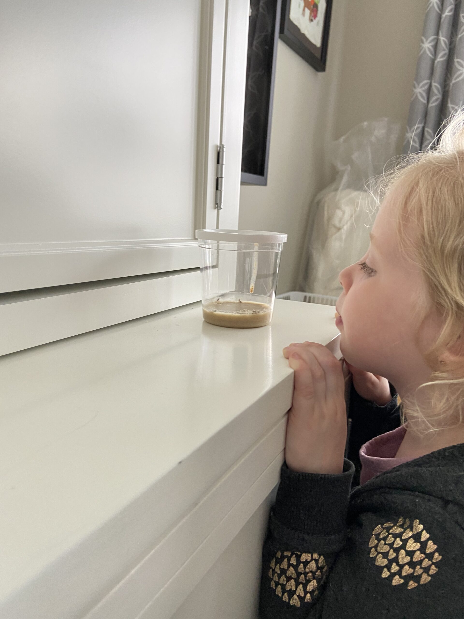 LEARN ABOUT BUTTERFLIES visual data 7